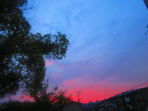IMG_5938